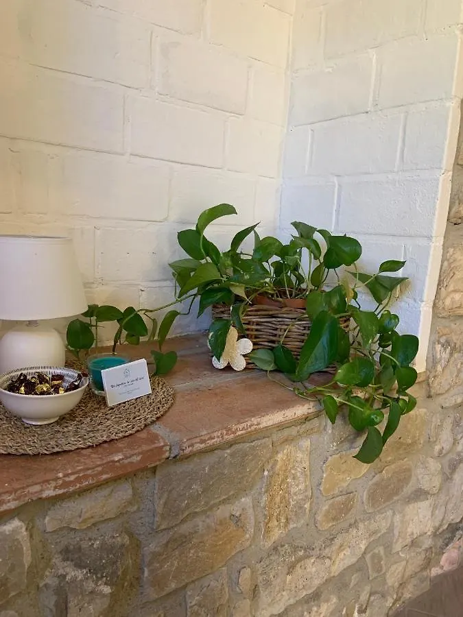 Costa di Mezzate Da Agostino, La Casa Del Latteヴィラ 別荘